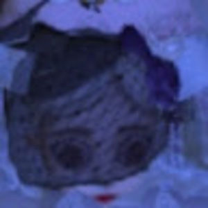 Meet your Posher, •briî•